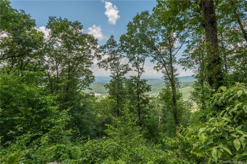 Property image 4 at 104 Castanea Mountain Drive, Asheville, NC 28803