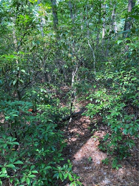 Property image 2 at 321 Sanderling Court, Lake Lure, NC 28746