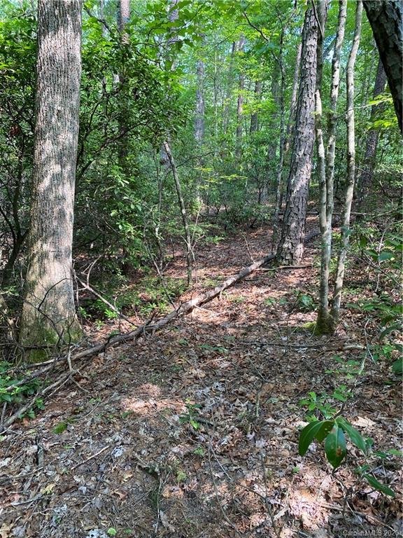 Property image 3 at 321 Sanderling Court, Lake Lure, NC 28746