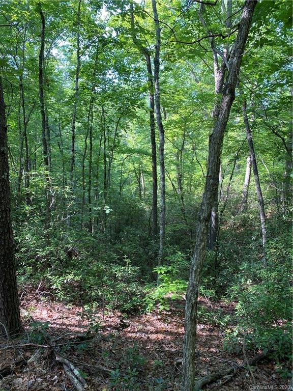 Property image 4 at 321 Sanderling Court, Lake Lure, NC 28746