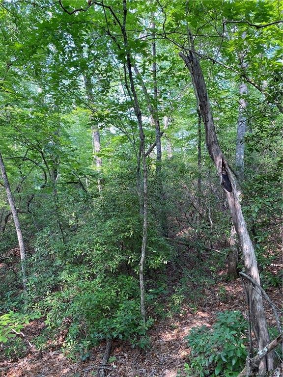 Property image 5 at 321 Sanderling Court, Lake Lure, NC 28746