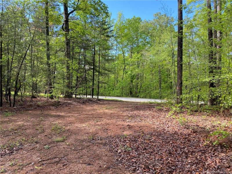 Property image 2 at 453 River Ridge Parkway, Rutherfordton, NC 28139