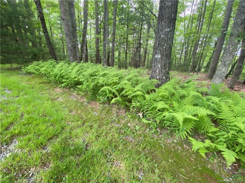 Property image 3 at Lot 1 Sassafras Road, Cedar Mountain, NC 28718