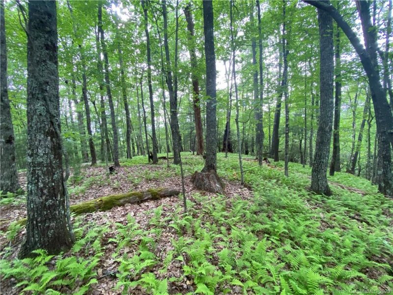 Property image 4 at Lot 1 Sassafras Road, Cedar Mountain, NC 28718