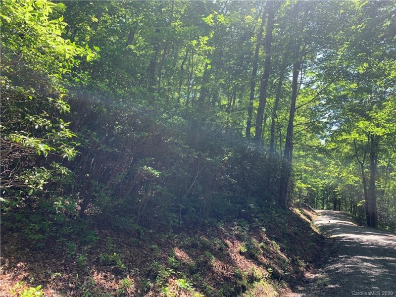 Property image 5 at 123 Antler Ridge Road, Rosman, NC 28772