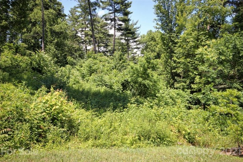 Property image 5 at 33 Grovepoint Way, Asheville, NC 28804