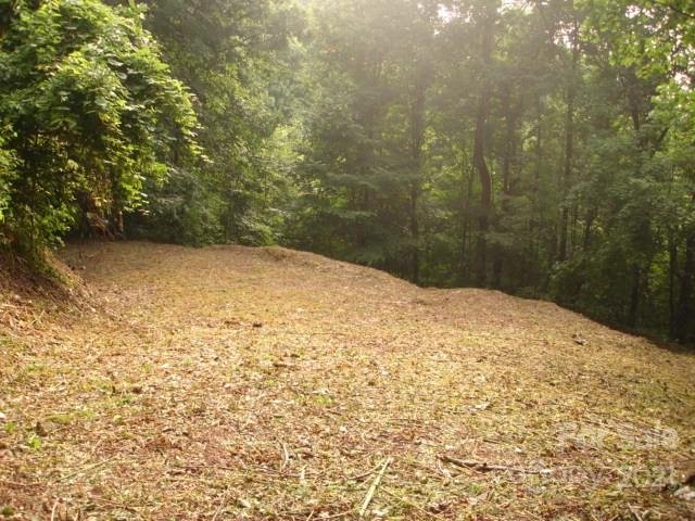 Property image 3 at 385 Valley View Drive, Maggie Valley, NC 28751