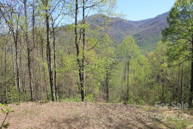 Property image 5 at 000 Valley View Drive, Maggie Valley, NC 28751
