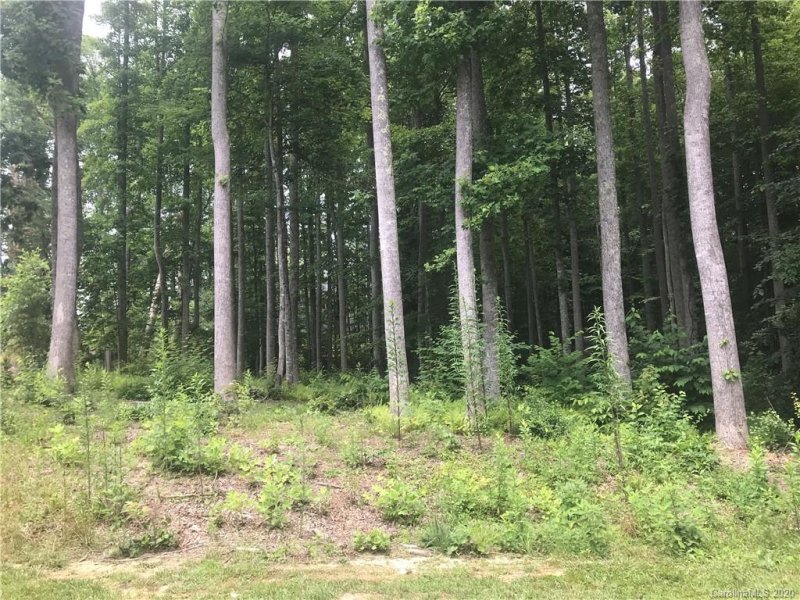 Property image 2 at 172 N Ridgeview Hill Drive, Hendersonville, NC 28792