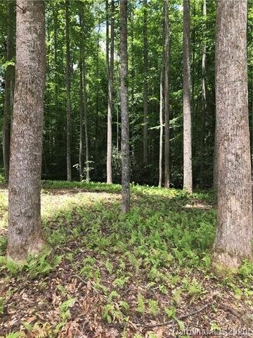 Property image 3 at 172 N Ridgeview Hill Drive, Hendersonville, NC 28792