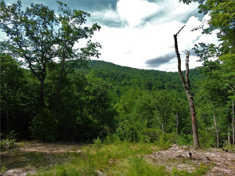 Property image 4 at 1443 Old Mill Road, Hendersonville, NC 28792