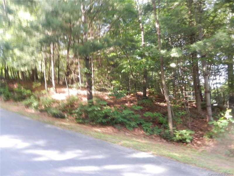 Property image 5 at 300 Shadecrest Lane, Mills River, NC 28759