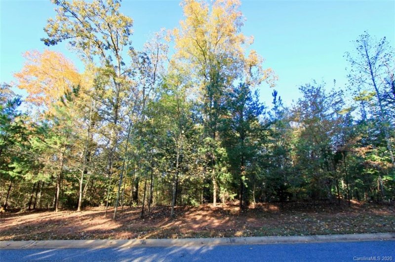 Property image 4 at 00 Dublin Court, Statesville, NC 28677