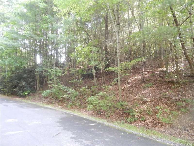 Property image 2 at 401 Greenstone Lane, Mills River, NC 28759