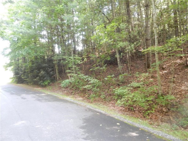 Property image 3 at 401 Greenstone Lane, Mills River, NC 28759