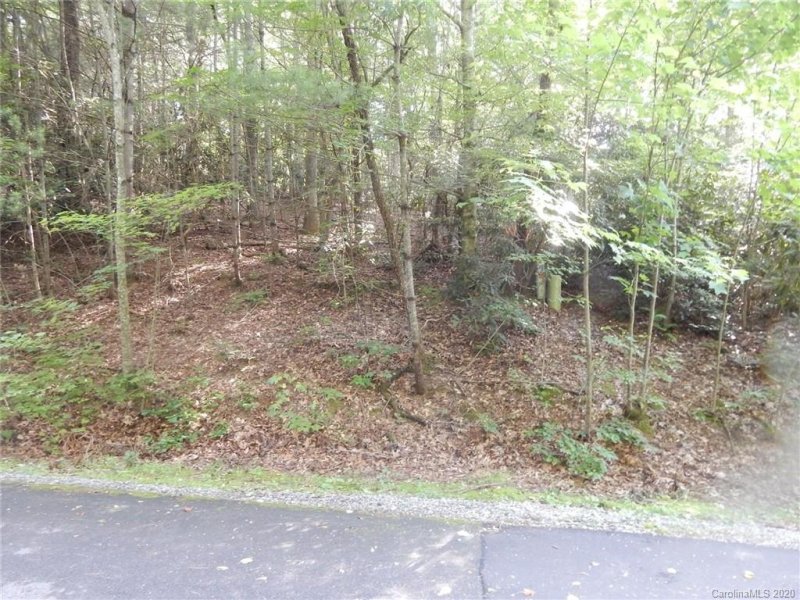 Property image 4 at 401 Greenstone Lane, Mills River, NC 28759