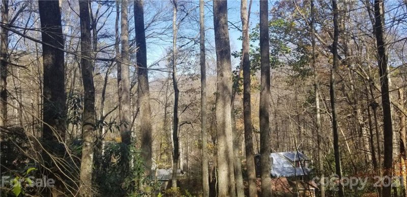 Property image 2 at Lot C31 Shady Lane, Maggie Valley, NC 28751