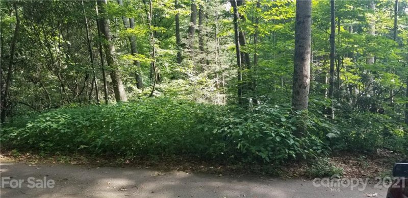 Property image 3 at Lot C31 Shady Lane, Maggie Valley, NC 28751