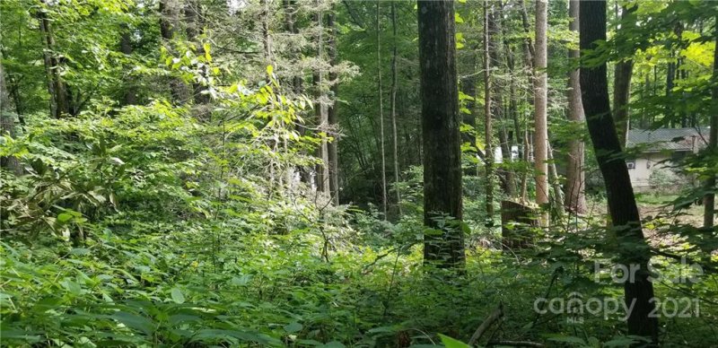 Property image 4 at Lot C31 Shady Lane, Maggie Valley, NC 28751