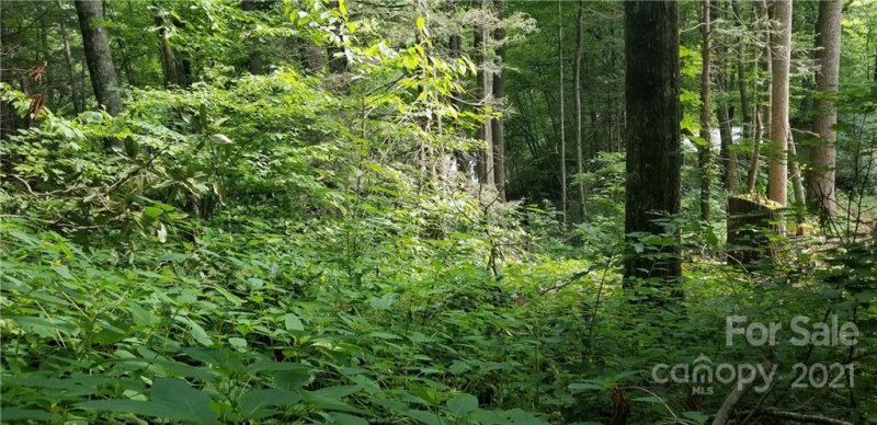 Property image 5 at Lot C31 Shady Lane, Maggie Valley, NC 28751