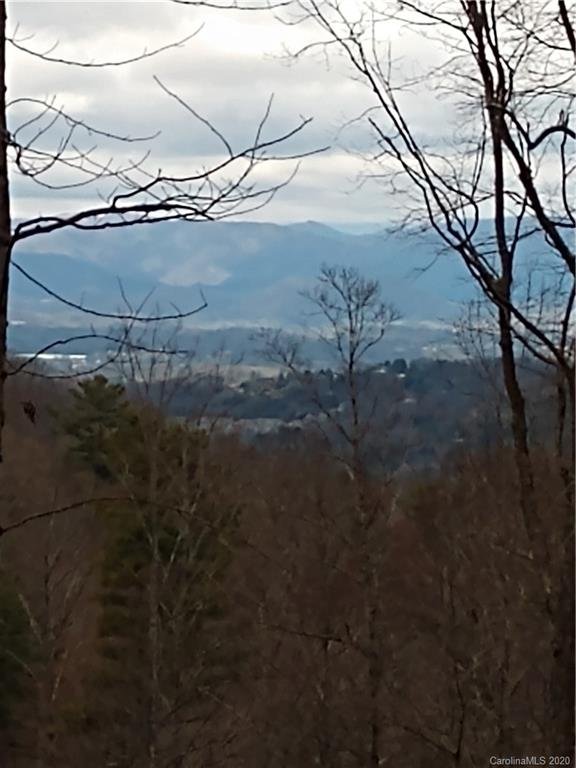 Property image 2 at 108 Bartrams Walk Drive, Asheville, NC 28804