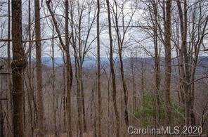 Property image 4 at 108 Bartrams Walk Drive, Asheville, NC 28804