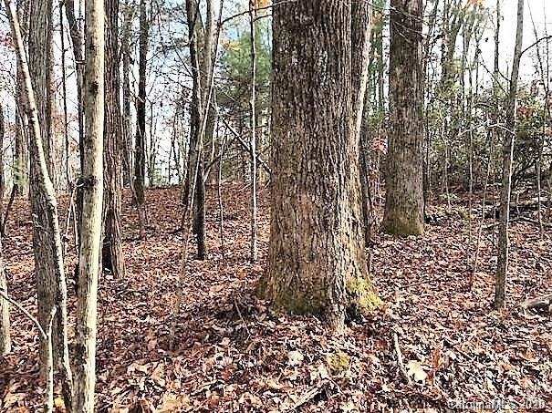 Property image 3 at Lt 3 Line Runner Ridge Road, Rosman, NC 28772