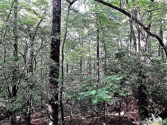 Property image 5 at Lt 3 Line Runner Ridge Road, Rosman, NC 28772