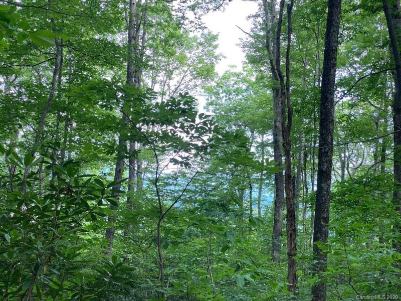 Property image 2 at Tbd Rock Creek Road, Rosman, NC 28772