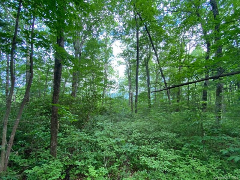 Property image 3 at Tbd Rock Creek Road, Rosman, NC 28772
