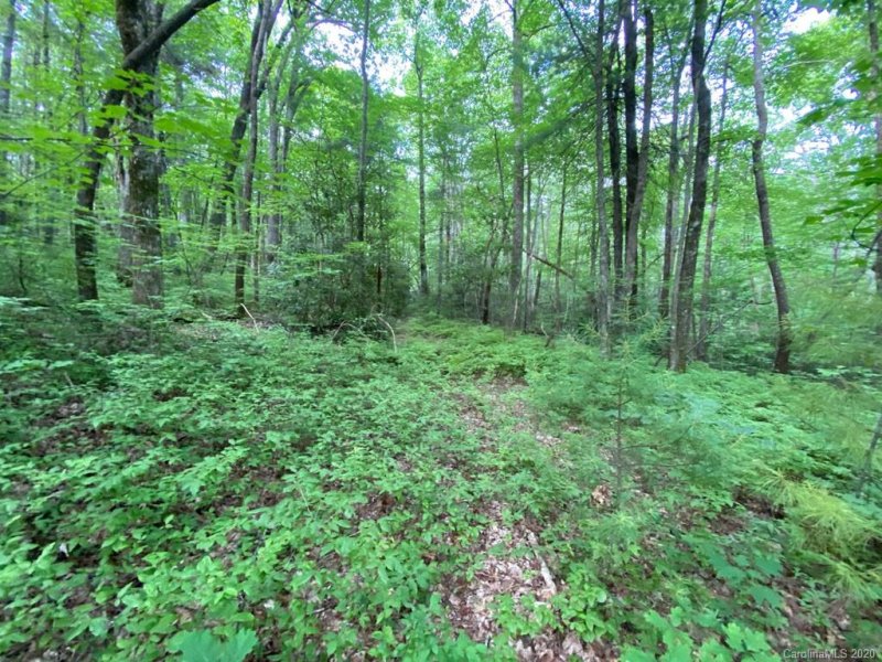 Property image 5 at Tbd Rock Creek Road, Rosman, NC 28772