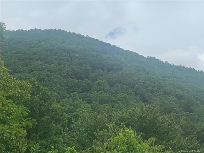 Property image 2 at 220 Riddle Road, Swannanoa, NC 28778