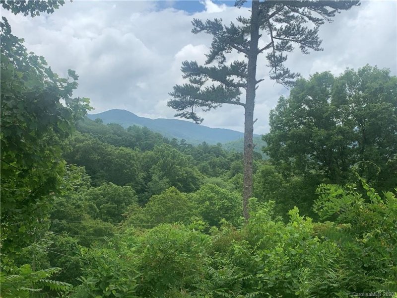 Property image 3 at 220 Riddle Road, Swannanoa, NC 28778