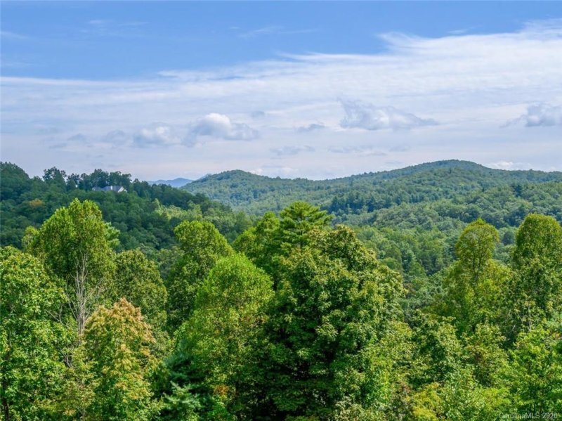 Property image 5 at 174 Big Raven Lane, Saluda, NC 28773