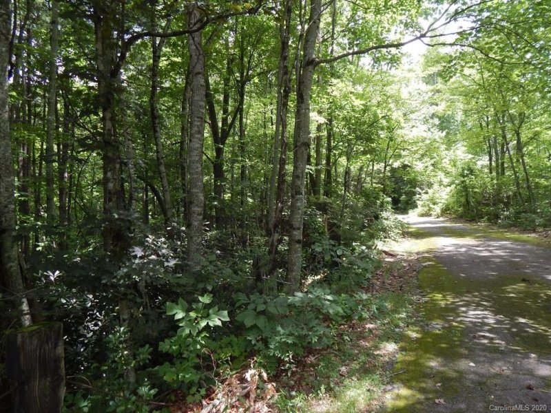 Property image 3 at 00 Apple Tree Court, Waynesville, NC 28786