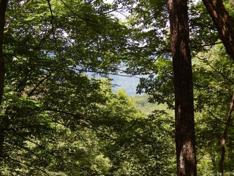 Property image 4 at 00 Apple Tree Court, Waynesville, NC 28786