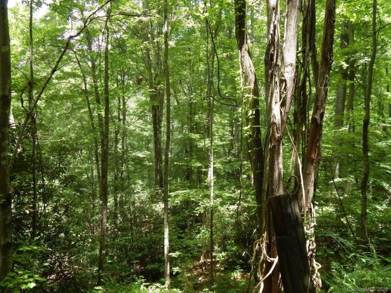 Property image 5 at 00 Apple Tree Court, Waynesville, NC 28786