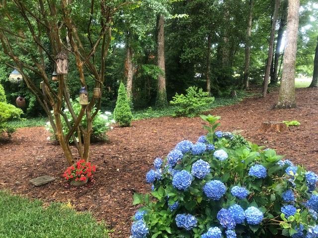 Property image 5 at 36 Leehi Lane, Taylorsville, NC 28681