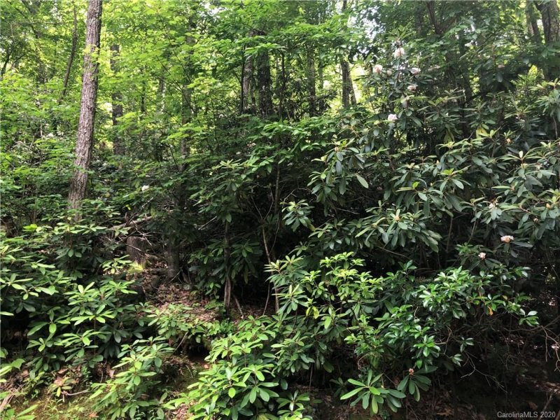 Property image 3 at 9999 Chestnut Walk Drive, Waynesville, NC 28786