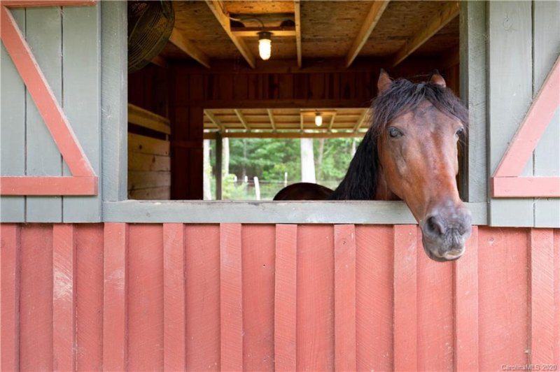 Property image 4 at 800 Pitts Road, Catawba, SC 29704