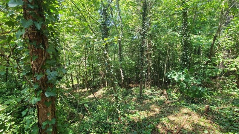 Property image 3 at 4205 9th Street, Hickory, NC 28601