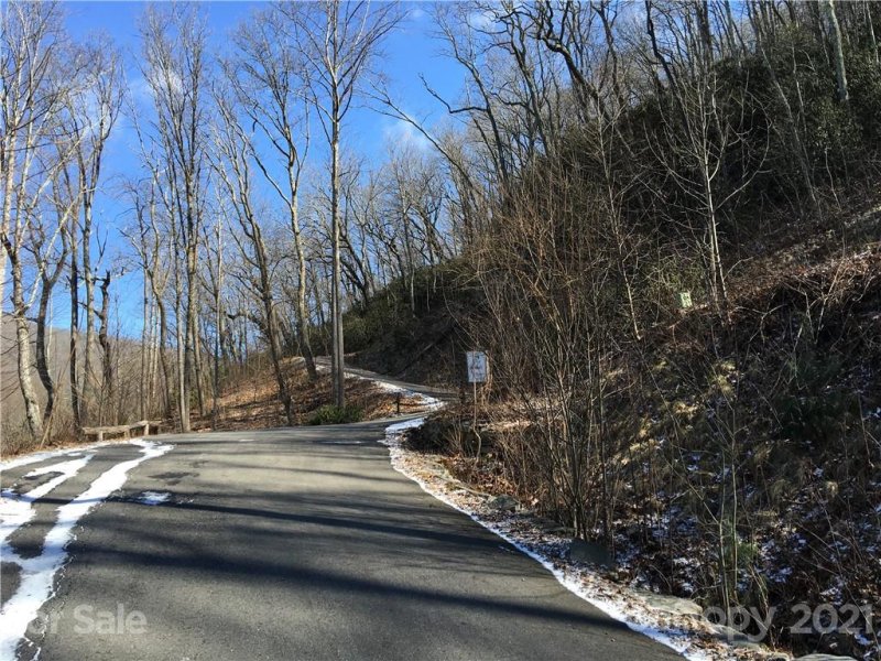 Property image 2 at 57 Chesten Mountain Drive, Asheville, NC 28803