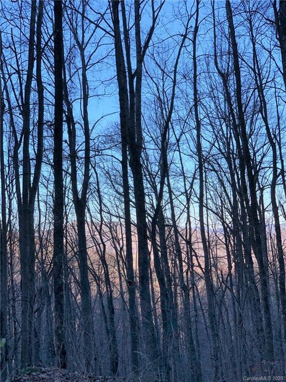 Property image 3 at 52 61 62 Apple Creek Road, Waynesville, NC 28786