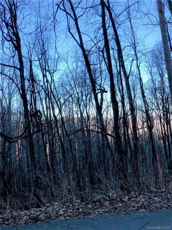 Property image 4 at 52 61 62 Apple Creek Road, Waynesville, NC 28786