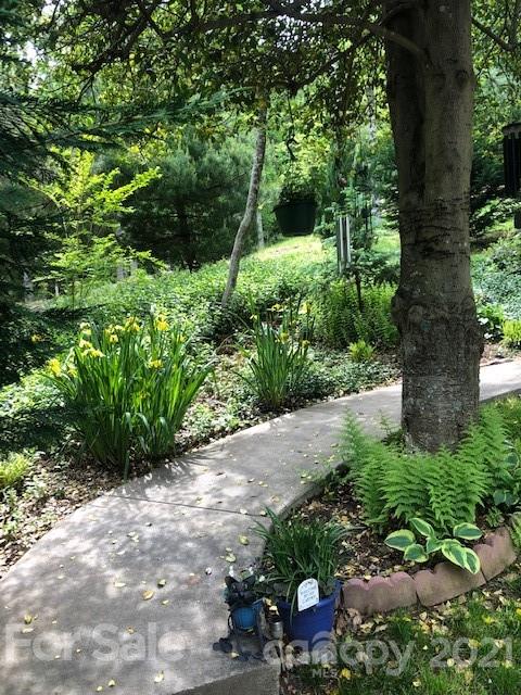 Property image 3 at 37 Gaston Mountain Road, Asheville, NC 28806