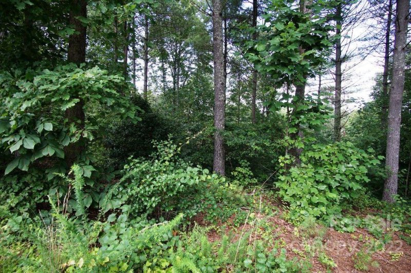 Property image 3 at 4002 Nesting Lane, Valdese, NC 28690