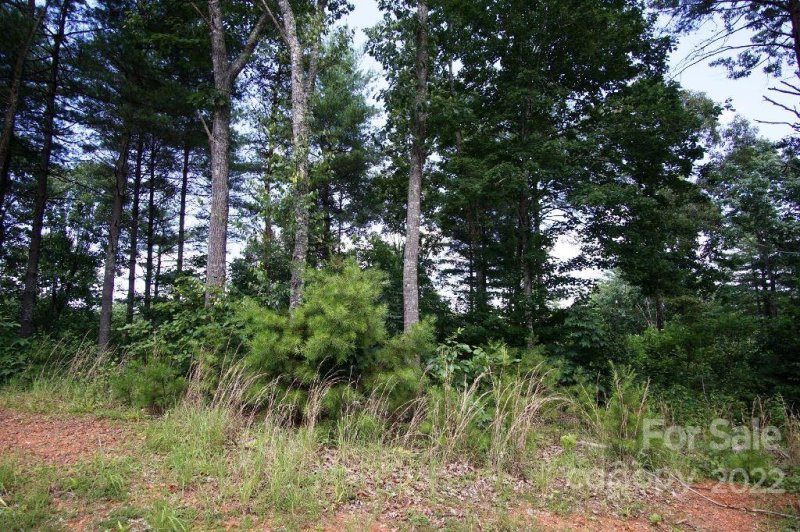 Property image 5 at 4002 Nesting Lane, Valdese, NC 28690