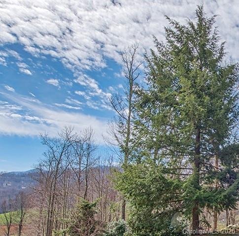 Property image 2 at 00 Asa Trail, Waynesville, NC 28785