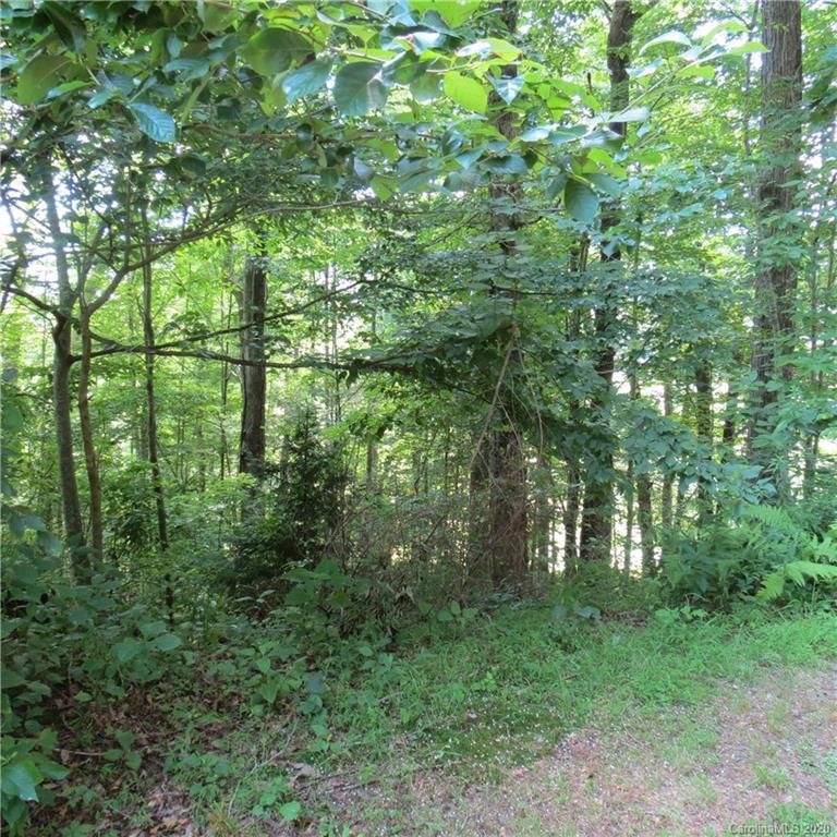 Property image 5 at 00 Asa Trail, Waynesville, NC 28785