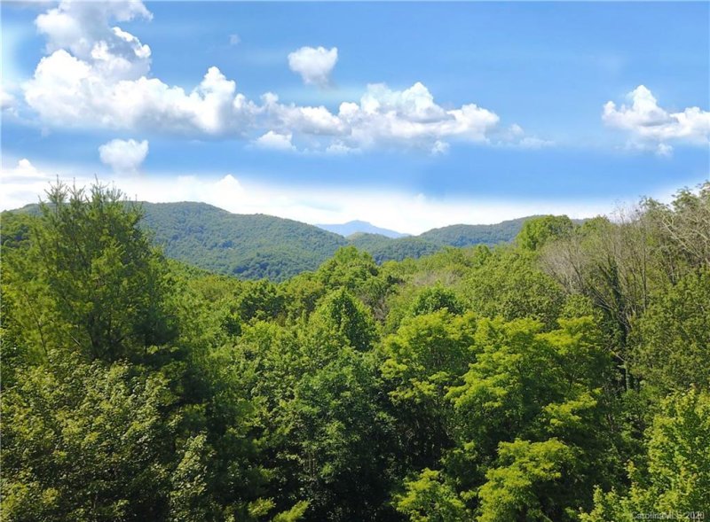 Property image 3 at 220 Ore Knob Road, Hot Springs, NC 28743